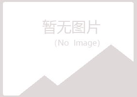 南岳区凌雪采矿有限公司